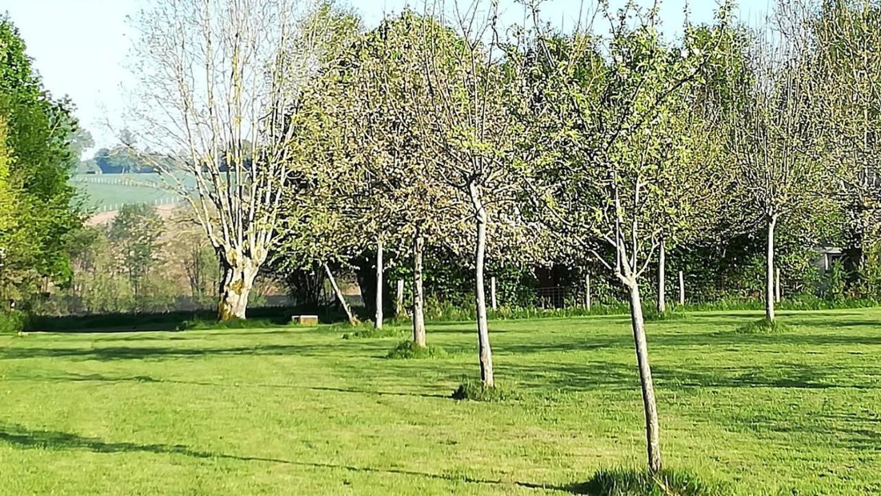 Au Bouton Dort Bed & Breakfast Sainte-Gauburge-Sainte-Colombe Exterior photo